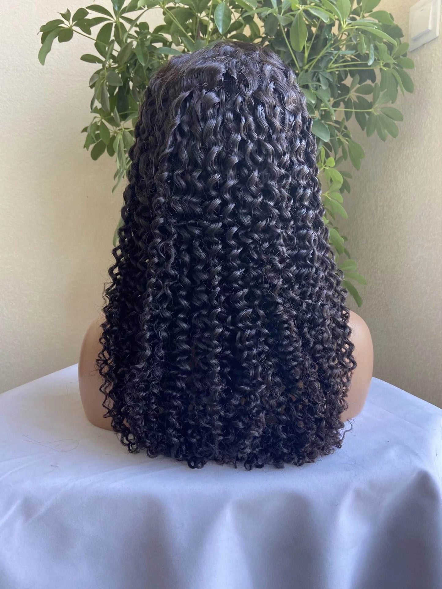 LuckroShort hd Lace Wigs Pixie Cut Curly Indian Hair Wigs 100 Percent Human Hair Wigsce Best Quality for Making Wigs Human Hair Wigs Wholesale Cheap Prices Wigs Human Hair Wholesale Bulk Sale